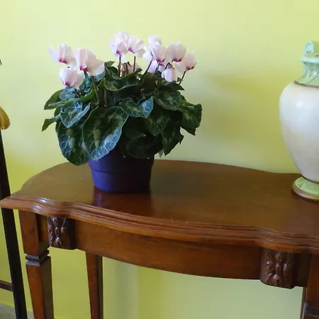 Chambre Ajaccio Alloggio in famiglia