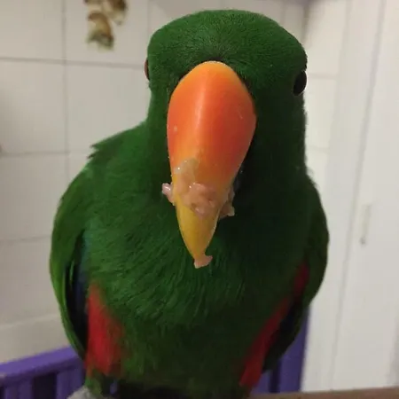 홈스테이 Chambre Ajaccio 아작시오